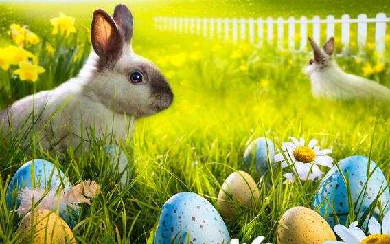 Easter Bunny live wallpaper screenshot 4