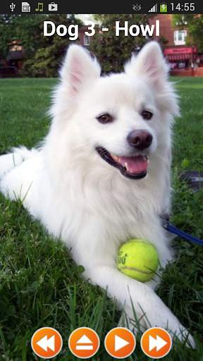 Dog Sounds Ringtones screenshot 2