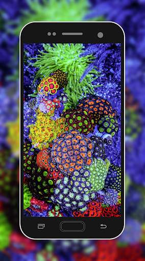 Coral Reef Wallpaper screenshot 2