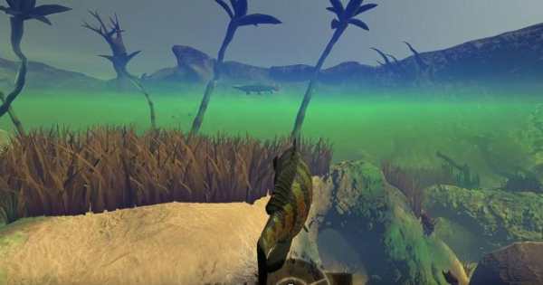 Fish Feed & Shark Grow! Feed Growing Fish™ screenshot 3