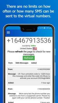 Virtual Number скриншот 4