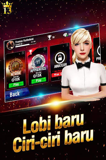 Lucky 13: 13 Card Poker Puzzle screenshot 5