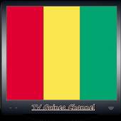 TV Guinea Channel Info 1.0