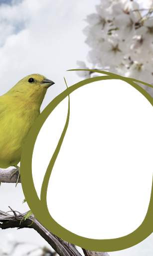 Birds Photo Frames HD स्क्रीनशॉट 15