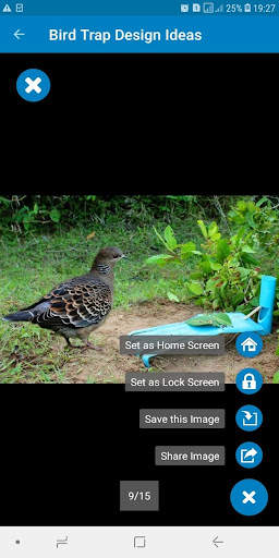 Bird Trap Design Ideas screenshot 8