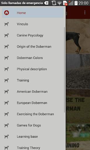 Doberman Dog Training screenshot 3