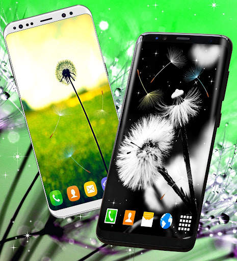 Dandelion Live Wallpaper 💮 Spring HD Wallpapers screenshot 3
