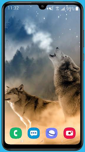 Wolf Wallpaper HD screenshot 4