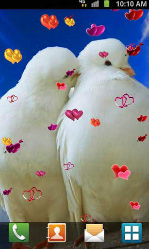 Love Birds Live Wallpaper screenshot 8