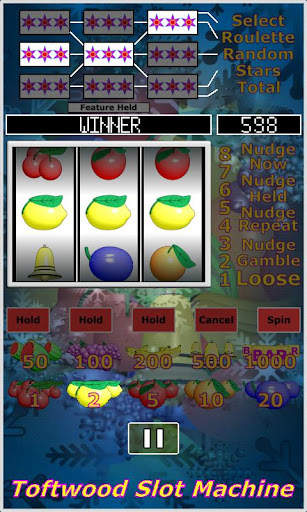 Slot Machine. Casino Slots. screenshot 4