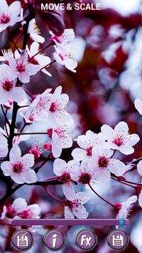 Spring Flowers Backgrounds HD screenshot 1