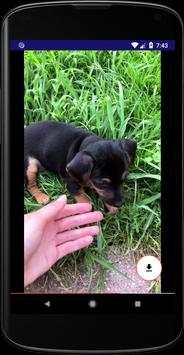 Story - Video Download for Instagram screenshot 6