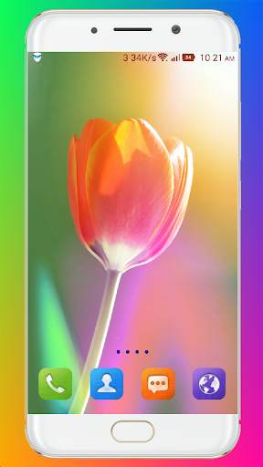 Tulip Wallpaper HD screenshot 13