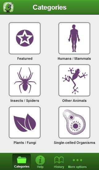 smart Microscope Lite screenshot 1