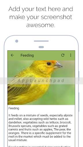 Canary screenshot 4