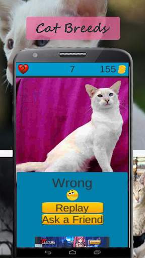 Cat Breeds: Cat Games screenshot 4