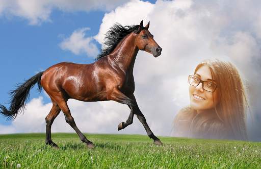 Horse Photo Frames screenshot 3