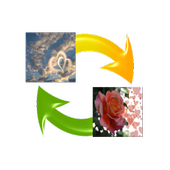 Wallpaper Auto Changer icon