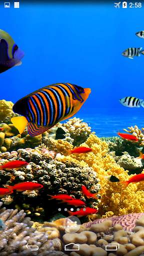 Underwater World Wallpapers screenshot 3