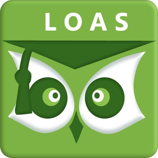 Lei nº 8742 Assistência Social 1.1.8