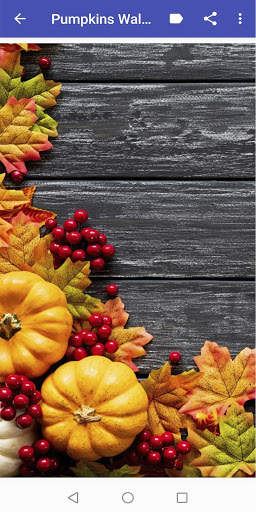 Pumpkin Wallpapers screenshot 2