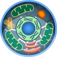 Cell World icon