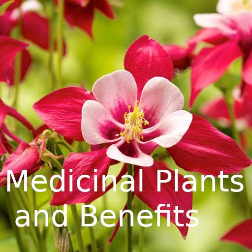 Medicinal Plants and Benefits 1.02