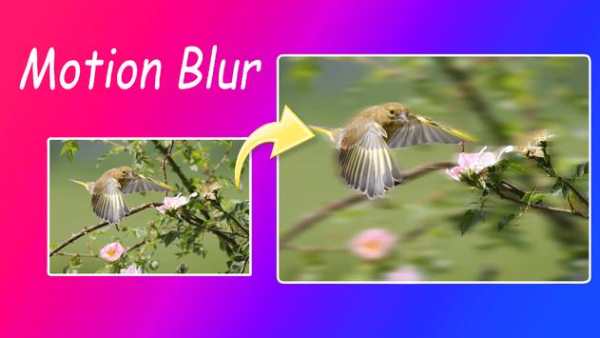Automatic Blur Background screenshot 6