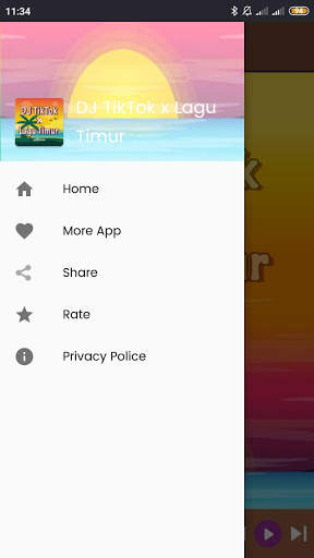 DJ TikTok x Lagu Timur Offline screenshot 2