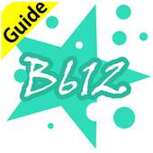 Guide For B612 Selfie Heart 1.0