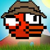 Country Bird 1.2