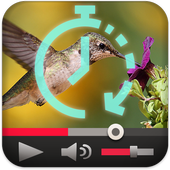Slow Motion Fast Forward Video icon