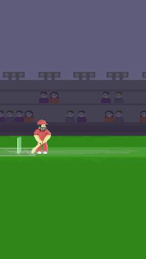 Pixel Cricket Game screenshot 1