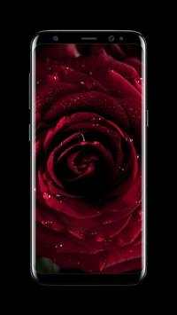 Flowers AMOLED Wallpaper for lock screen screenshot 3