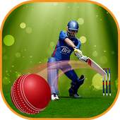 Indian Cricket: T20 Premier League 1.0
