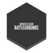 PUBG Guide 1.1