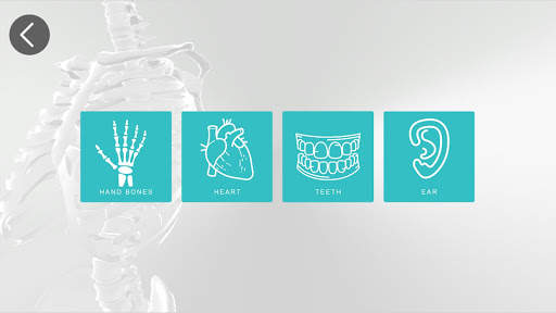 Anatomy 3D screenshot 6
