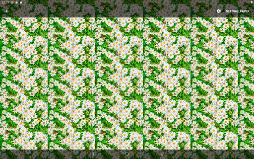 Image Wallpaper-7 screenshot 10