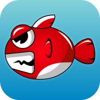 Angry Fish