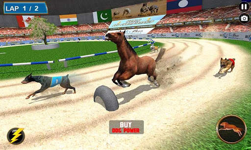 Real Dog Racing Tournament screenshot 5