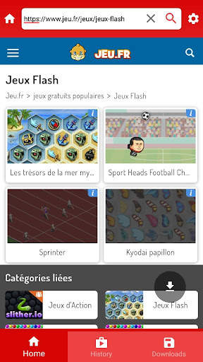 Flash browser & Video Player D screenshot 4