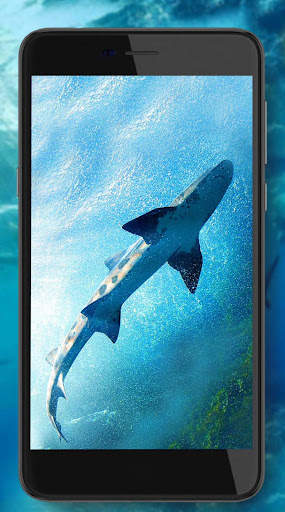 Sharks Live Wallpaper screenshot 7