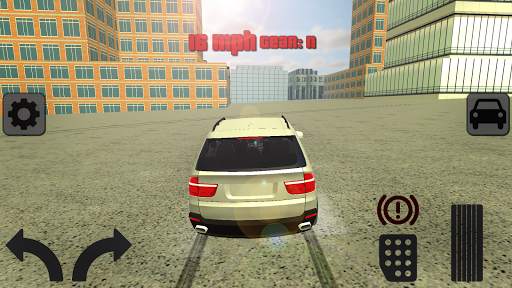 Fanatics Car Drive screenshot 1