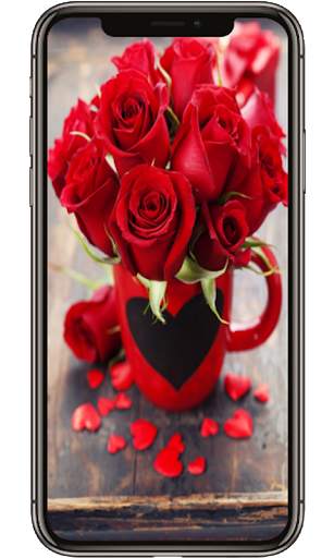 Red Rose Flower Lock Screen, Red Rose wallpapers screenshot 1