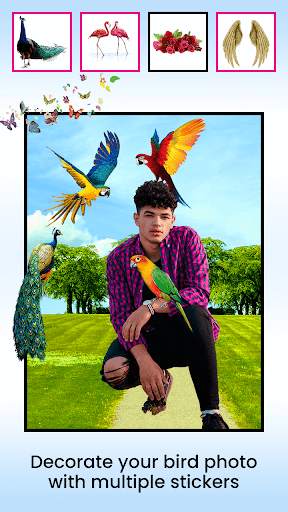 Bird Photo Editor screenshot 2