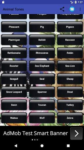 Animal Sounds screenshot 5
