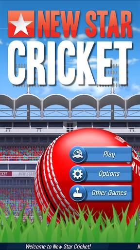 New Star Cricket screenshot 1