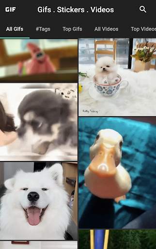 Gifs & Videos For WhatsApp screenshot 2