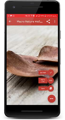 Macro Nature Wallpaper screenshot 3