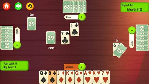 29 Card Game * PLUS screenshot 3